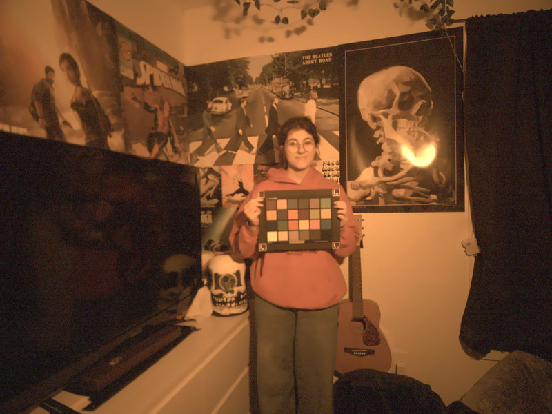 person holding a ColorChecker in a poster-lined room